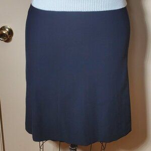 JonesWear Stretch 10-Gore Career Skirt - Black - Lined - Size 12